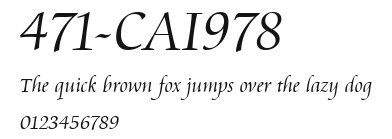 471-CAI978 Preview
