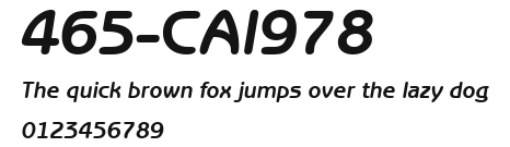 465-CAI978 Preview