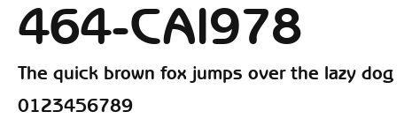 464-CAI978 Preview