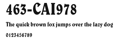463-CAI978 Preview