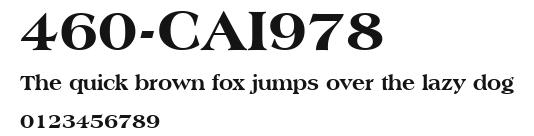 460-CAI978 Preview