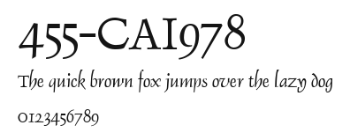 455-CAI978 Preview