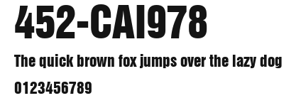 452-CAI978 Preview
