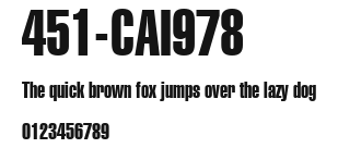 451-CAI978 Preview
