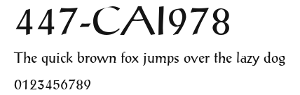447-CAI978 Preview