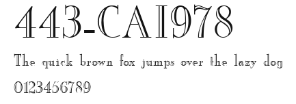 443-CAI978 Preview