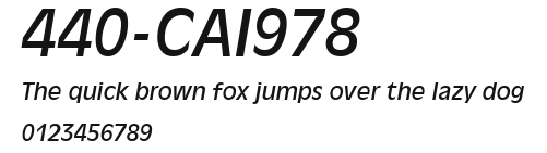 440-CAI978 Preview