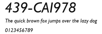 439-CAI978 Preview
