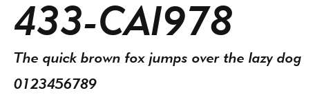 433-CAI978 Preview
