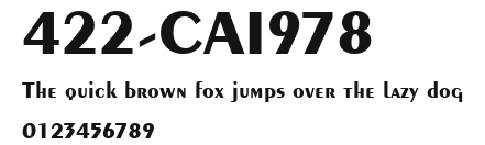 422-CAI978 Preview