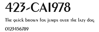 423-CAI978 Preview
