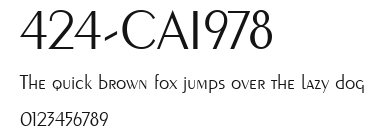 424-CAI978 Preview
