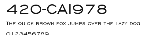 420-CAI978 Preview