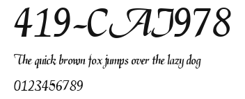 419-CAI978 Preview