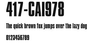 417-CAI978 Preview