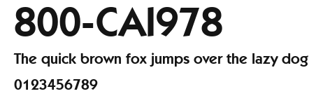 800-CAI978 Preview