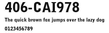 406-CAI978 Preview