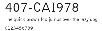407-CAI978 Preview