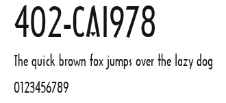 402-CAI978 Preview