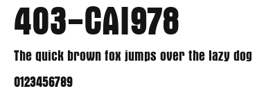 403-CAI978 Preview