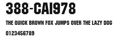 388-CAI978 Preview