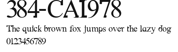 384-CAI978 Preview