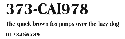 373-CAI978 Preview