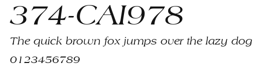 374-CAI978 Preview