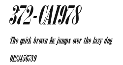 372-CAI978 Preview