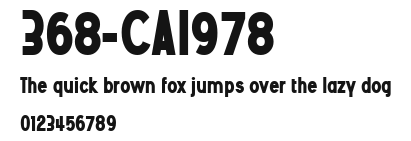 368-CAI978 Preview