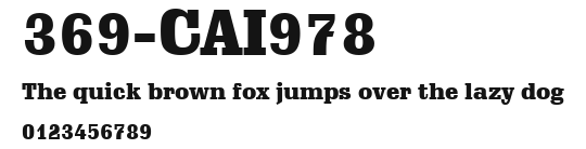 369-CAI978 Preview