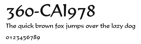 360-CAI978 Preview