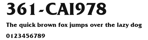361-CAI978 Preview