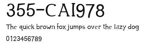 355-CAI978 Preview