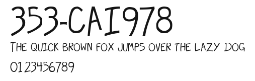 353-CAI978 Preview