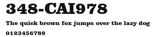348-CAI978 Preview