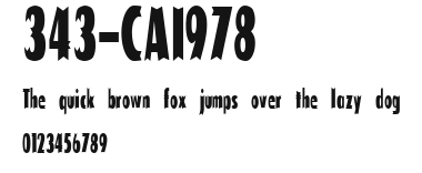 343-CAI978 Preview