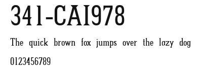341-CAI978 Preview