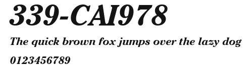 339-CAI978 Preview