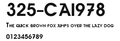 325-CAI978 Preview