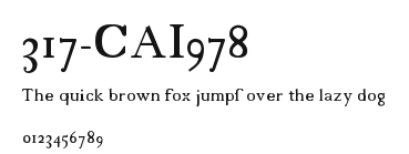 317-CAI978 Preview