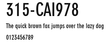 315-CAI978 Preview