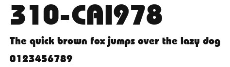 310-CAI978 Preview