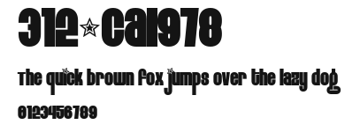 312-CAI978 Preview