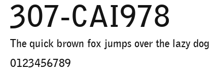 307-CAI978 Preview