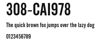308-CAI978 Preview