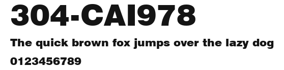 304-CAI978 Preview