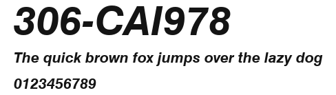 306-CAI978 Preview