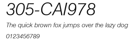305-CAI978 Preview