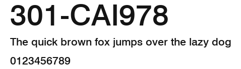 301-CAI978 Preview